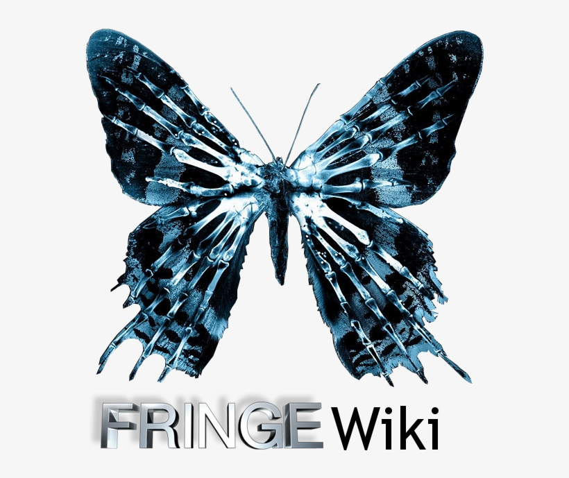 10, February 3, 2009 - Butterfly Effect, transparent png download