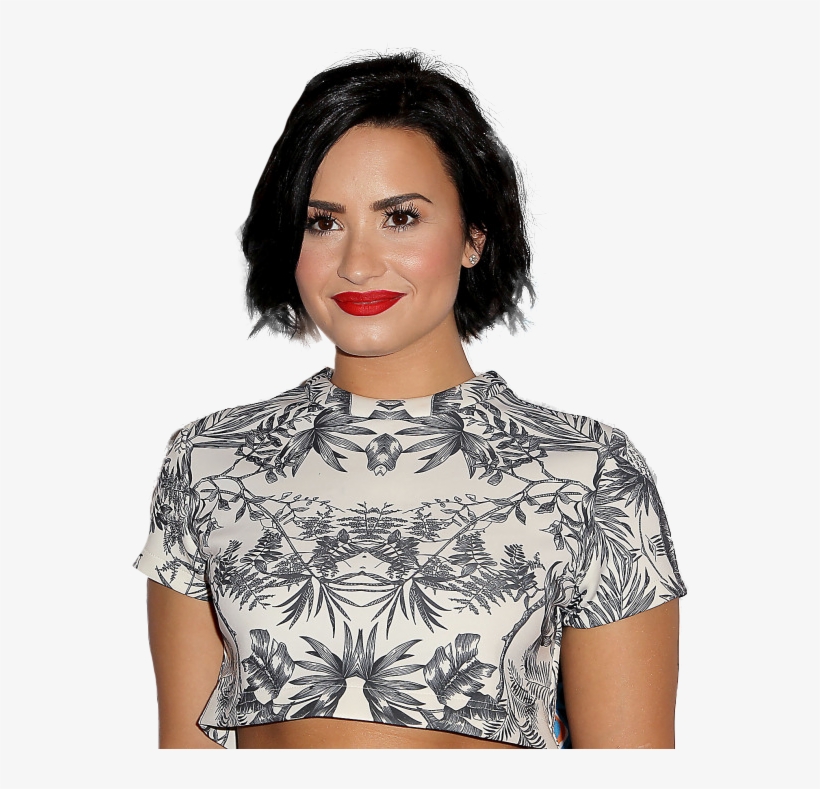 Demi Lovato Lovatic Transparent Transparent Png Png - Photo Shoot, transparent png download