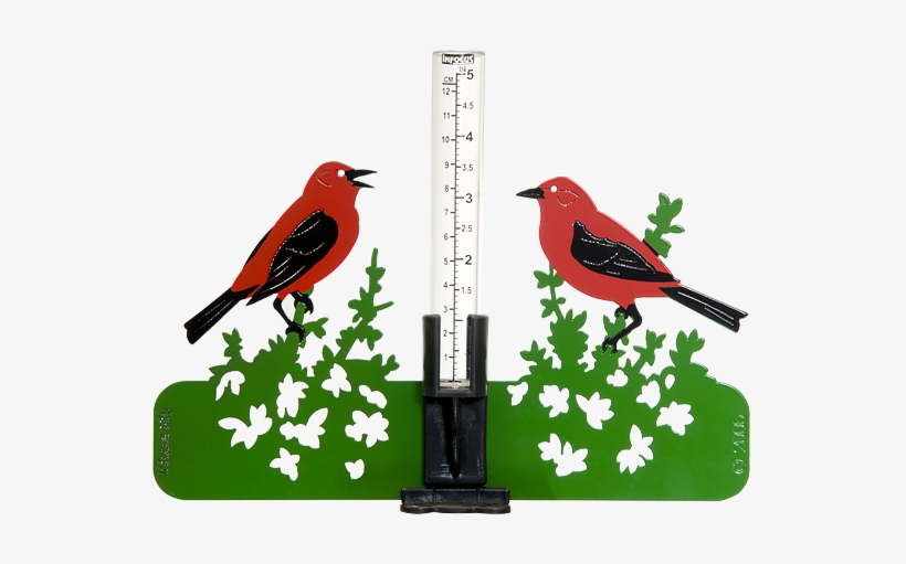 Home Red Bird - Infocus Manufacturing, transparent png download