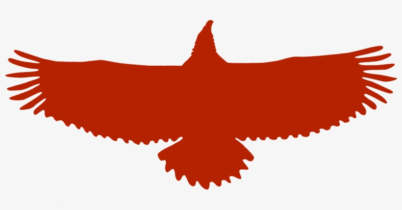 Birds - Eagle Silhouette Png, transparent png download