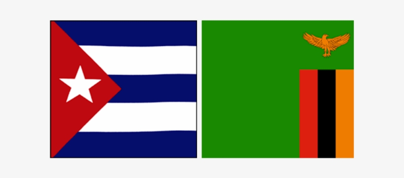 President And Minister Of Foreign Affairs Of Zambia - Eagle, transparent png download