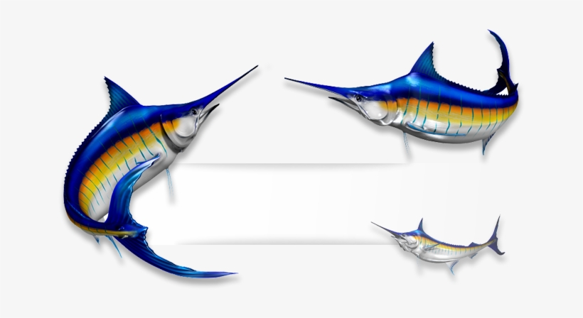 Marlin Fish - Recreational Vehicle, transparent png download