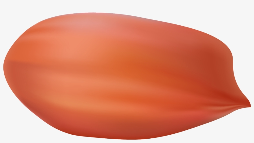 Peanuts Png Clipart Image - Peanut, transparent png download