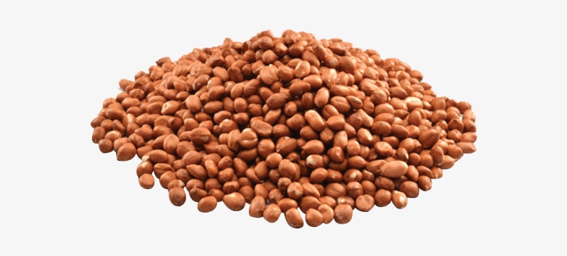 Peanut Butter, Others - Peanut, transparent png download