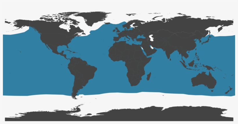 Open - Pacific White Sided Dolphin Range, transparent png download