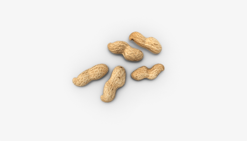 Peanut Allergy, transparent png download