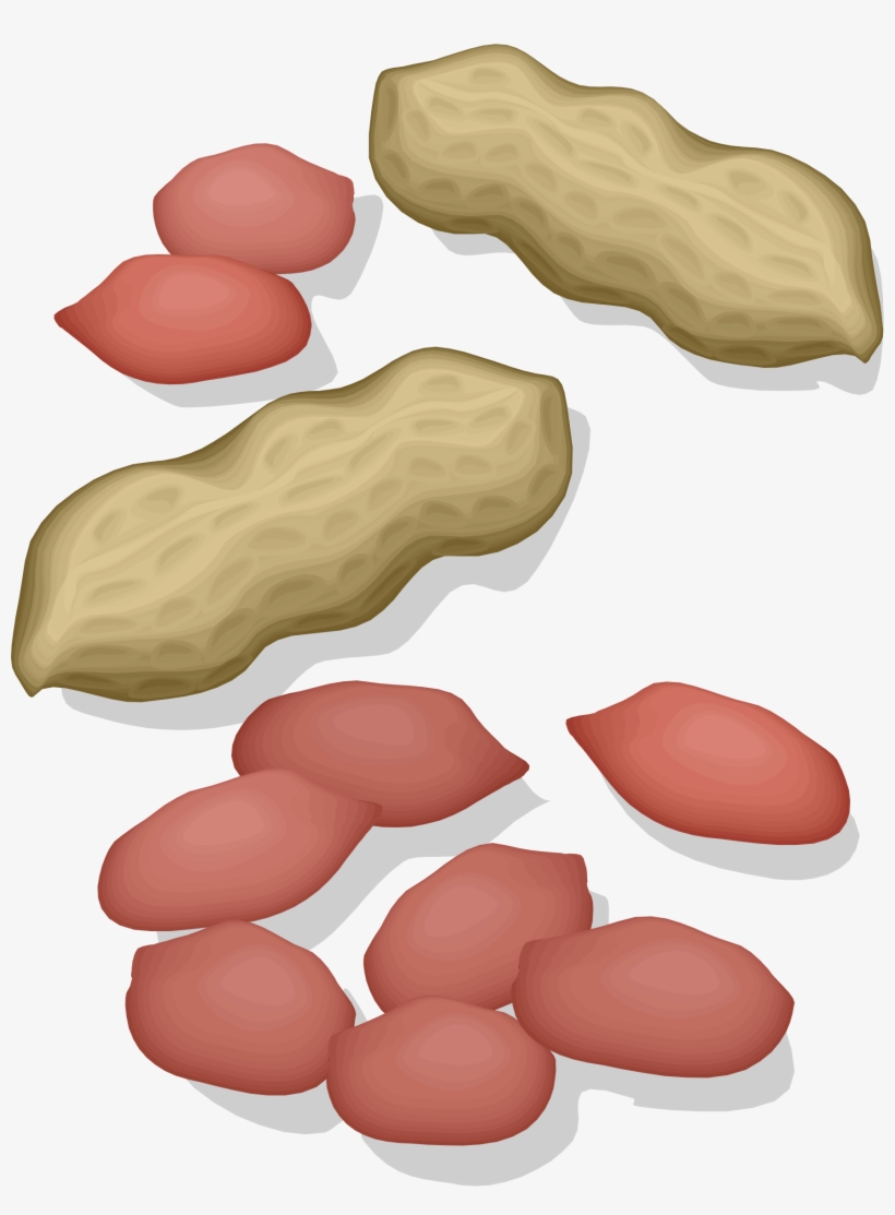 Big Image - Peanut, transparent png download