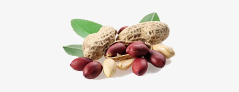 Sekku Ennai, transparent png download