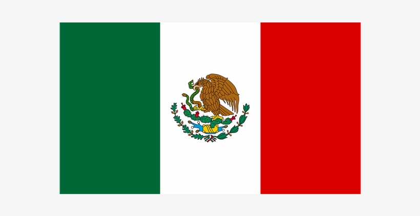 Can You Just Imagine This On Valentine's Day In 2009, - Gangland: The Rise Of The Mexican Drug Cartels From, transparent png download