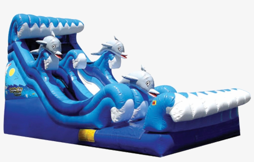 Dolphin Splash Water Slide - Dolphin Water Slide For Rent, transparent png download