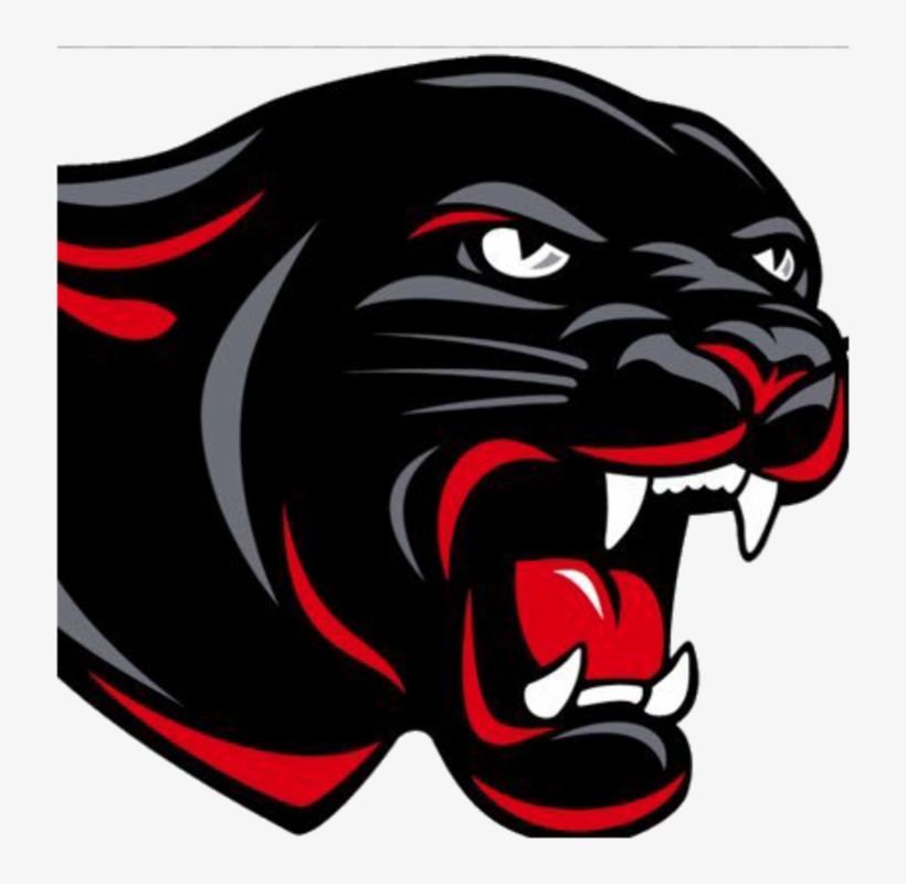 The Tracy Milroy Balaton Panthers - Cromwell High School Panthers, transparent png download
