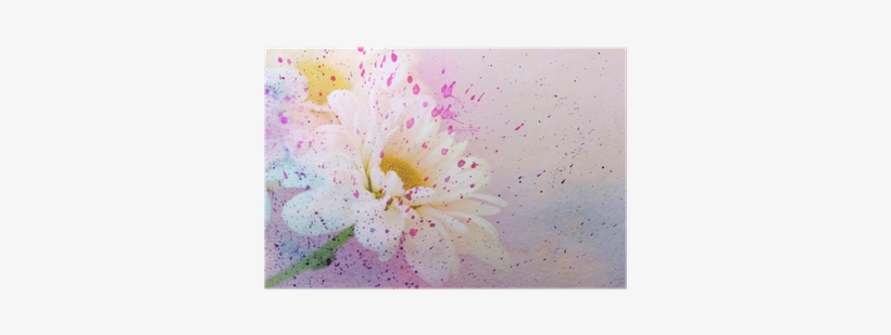 Chamomile's Flower And Watercolor Splatter Poster • - Watercolor Painting, transparent png download