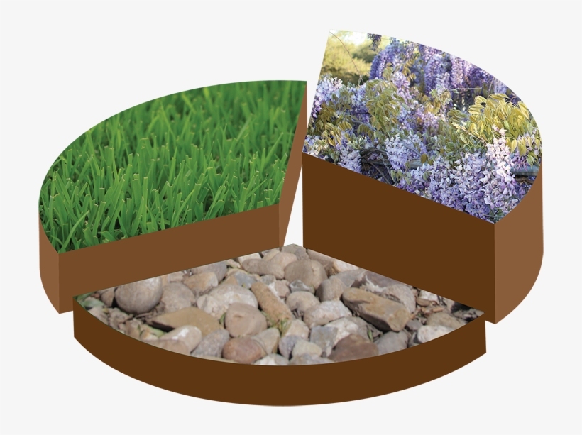 Pie Chart Rule Of Thirds - Texas, transparent png download