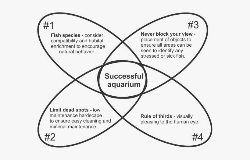 #1 It`s An Excellent Idea To Know Which Fish You Are - Diagram, transparent png download