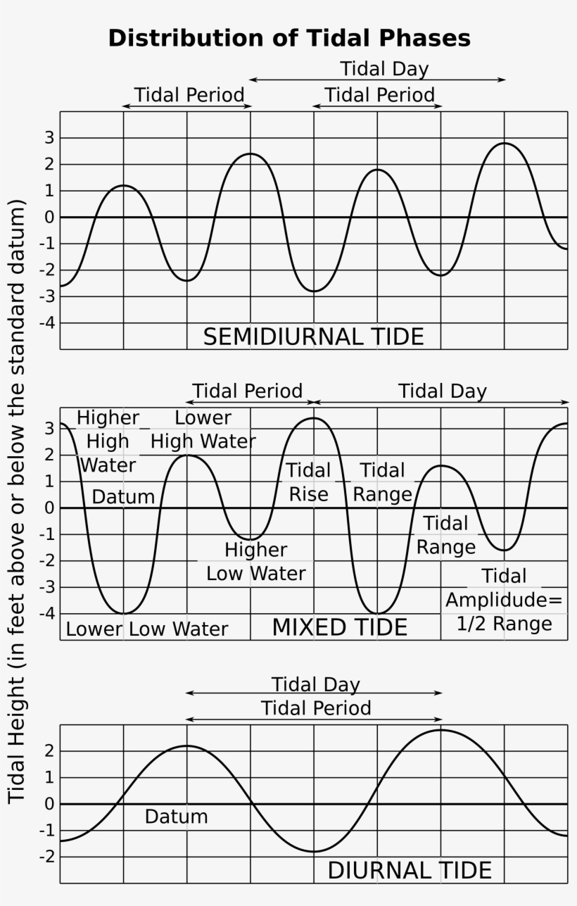 Open - Diurnal Tides, transparent png download