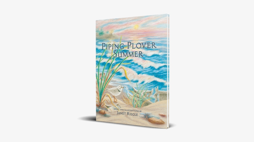 Piping Plover Summer - Piping Plover Summer [book], transparent png download