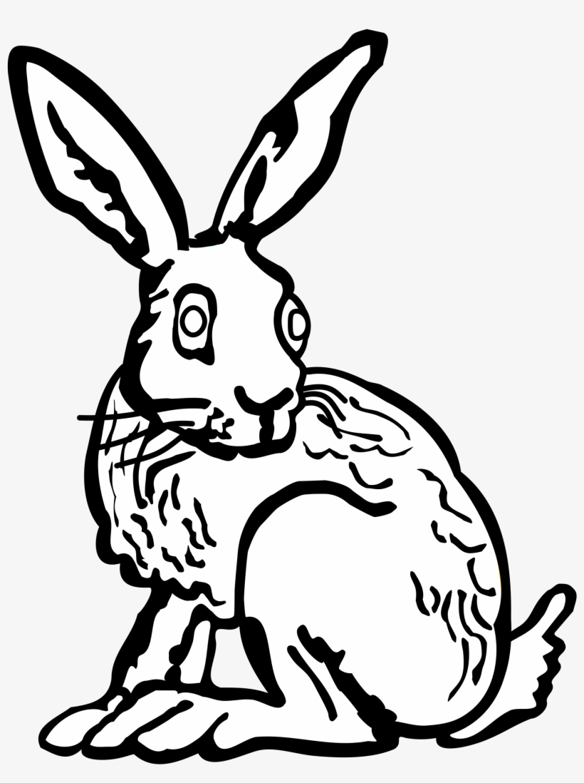 Hare Line Drawing At Getdrawings - Hare Drawing Png, transparent png download