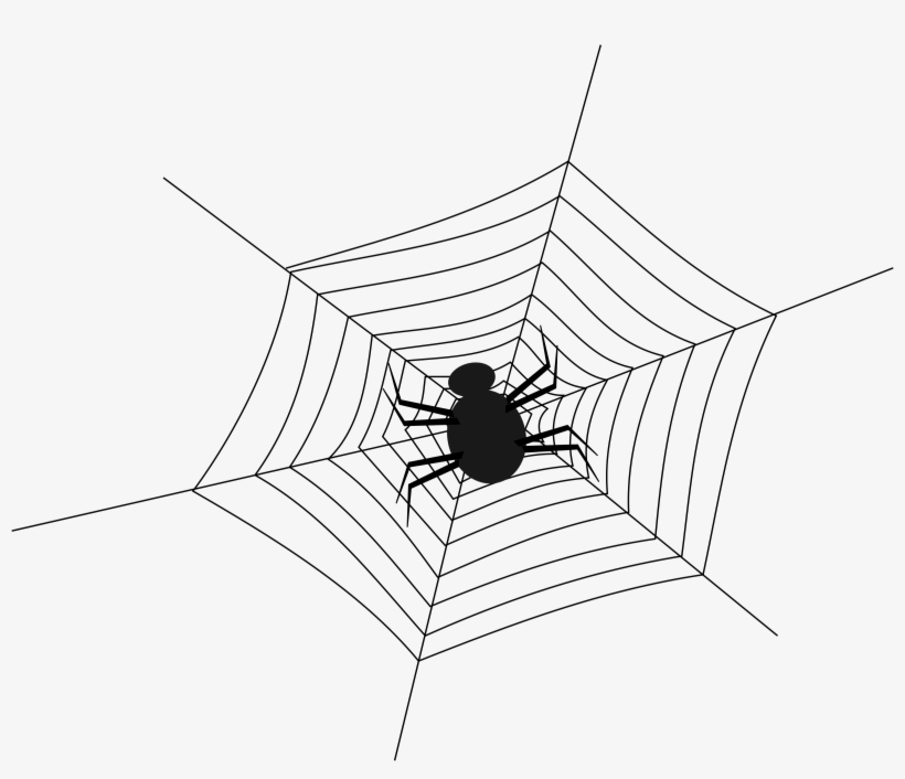 Spider Png, transparent png download