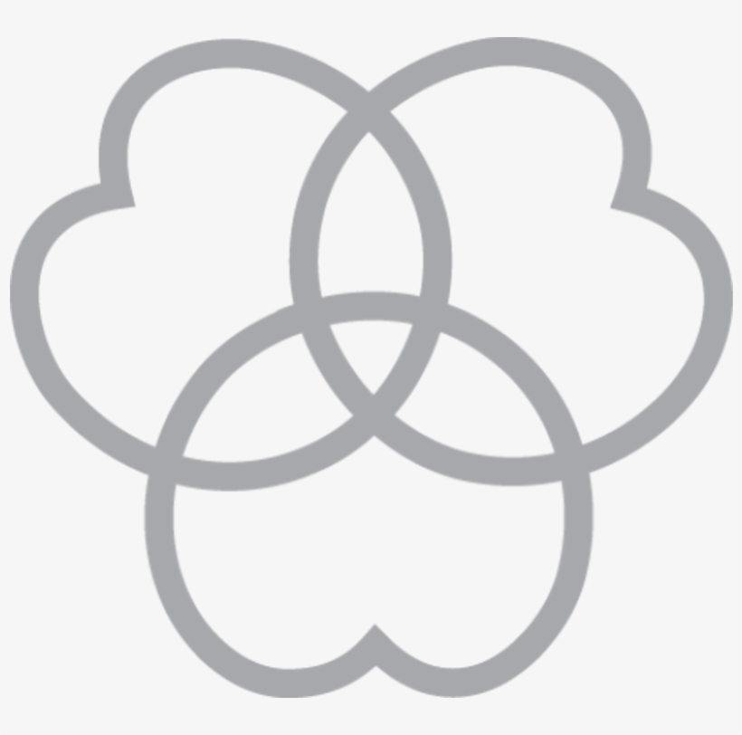 D20 - Nan Chiau High School Logo, transparent png download