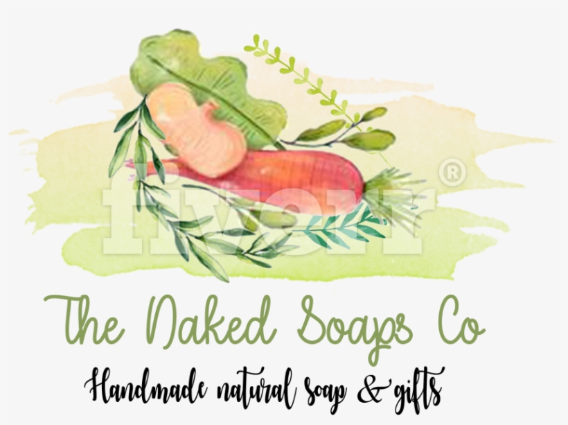 Design A Beautiful Artistic Watercolor Label And Logo - Prosciutto, transparent png download