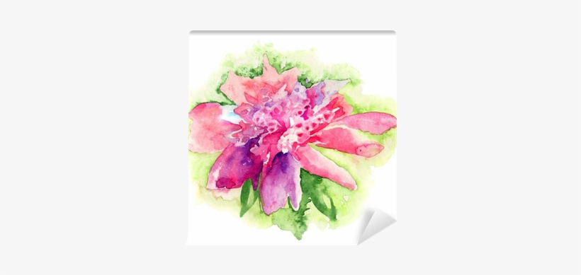 Pink Peony Flower, Watercolor Painting Wall Mural • - Watercolor Painting, transparent png download
