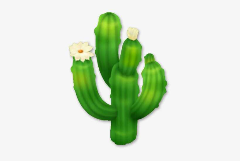 Saguaro Cactus - Cactus Png, transparent png download