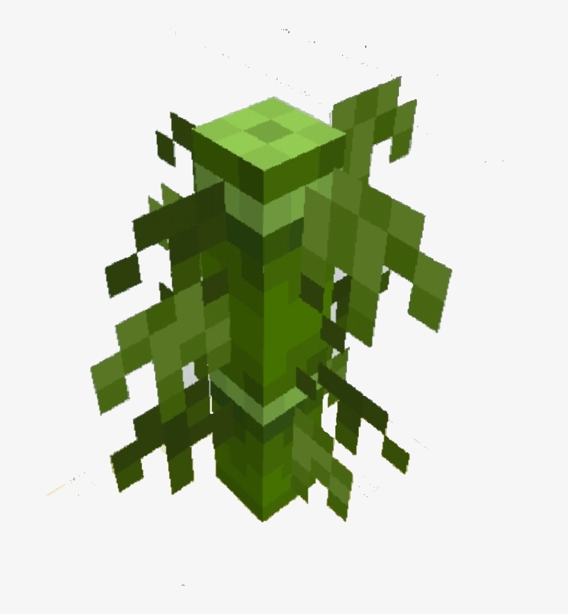 Bamboo, transparent png download