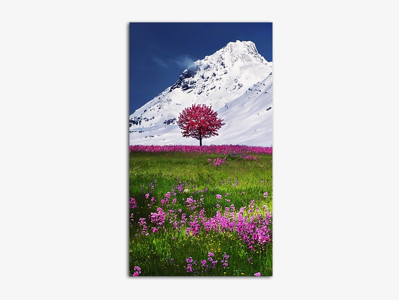 Mountain Flower Hd Wallpaper For Your Mobile Phone - Flower Hd Images For Mobile, transparent png download