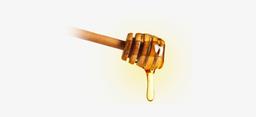 Pouring Honey Png - Honey Png, transparent png download