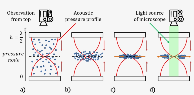 Illustration Of The Acoustic Manipulation Of Suspensions - Diagram, transparent png download