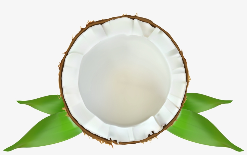 Candlemaker's Store Vanilla Coconut Premium Fragrance, transparent png download
