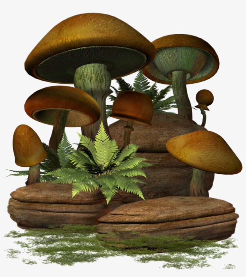 Mushroom, transparent png download