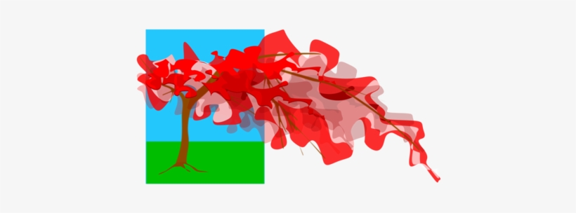 Line Art Royal Poinciana Watercolor Painting Drawing - Drawing, transparent png download