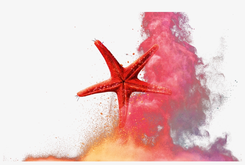 Works On Both Sides - Starfish, transparent png download