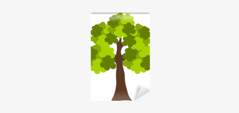 Oak, transparent png download