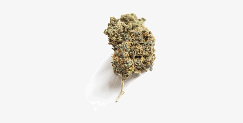 Free Cannabis Marijuana Arizona - Cannabis, transparent png download
