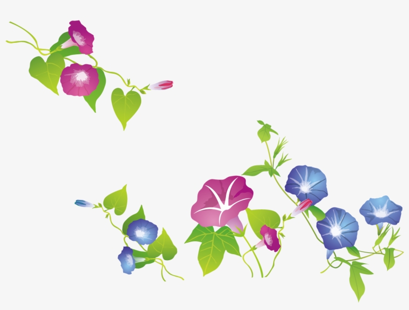 Clip Library Download Ipomoea Nil Exquisite Trumpet - 牵 牛 花 矢量 图, transparent png download