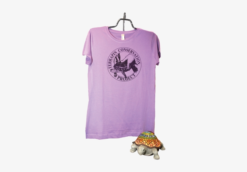 All Things Turtle - Turtle, transparent png download