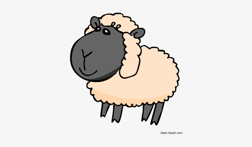 Adorable Sheep Clip Art Image - Clip Art, transparent png download