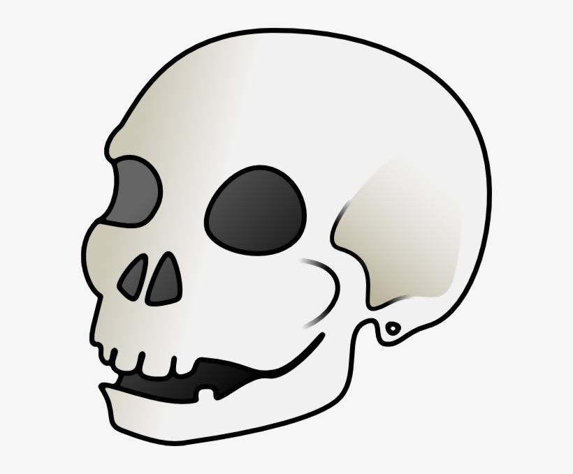 The Editing Of The Human Skull - Spooky Intensifies, transparent png download