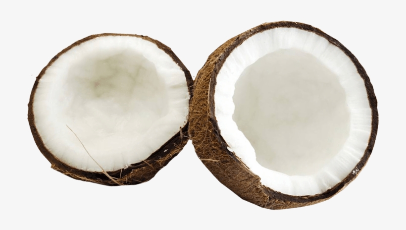 Coconut Png Image - Elongtress Fancy Oil - Hair Growth Enhancer (coconut, transparent png download