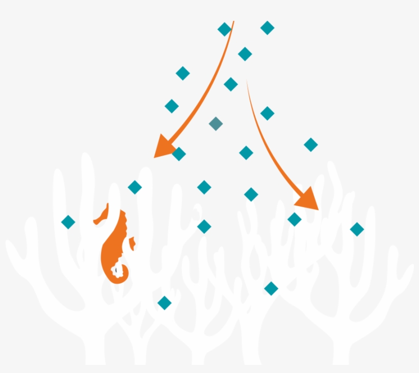 Ag-coral - Illustration, transparent png download