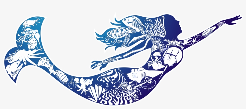 Benthic Ecology, transparent png download