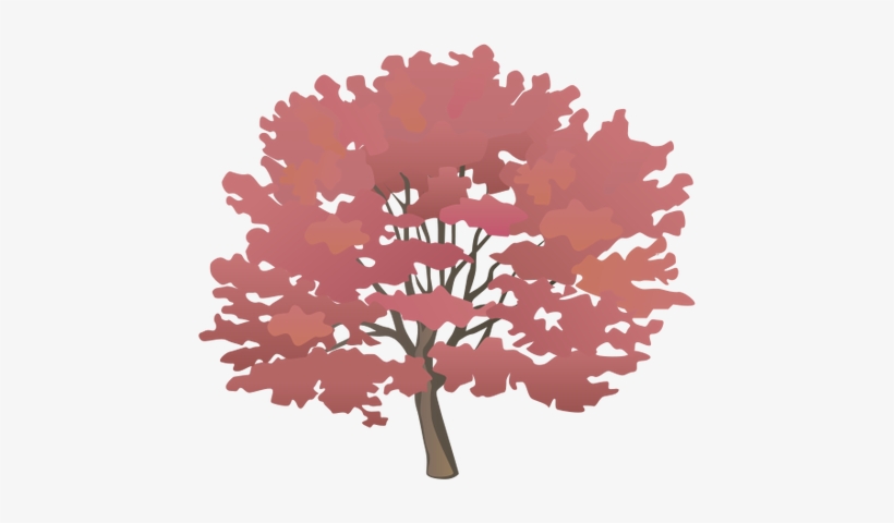 Ian Symbol Acer Rubrum2 - Swamp Maple, transparent png download