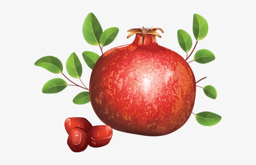 Pomegranate, transparent png download