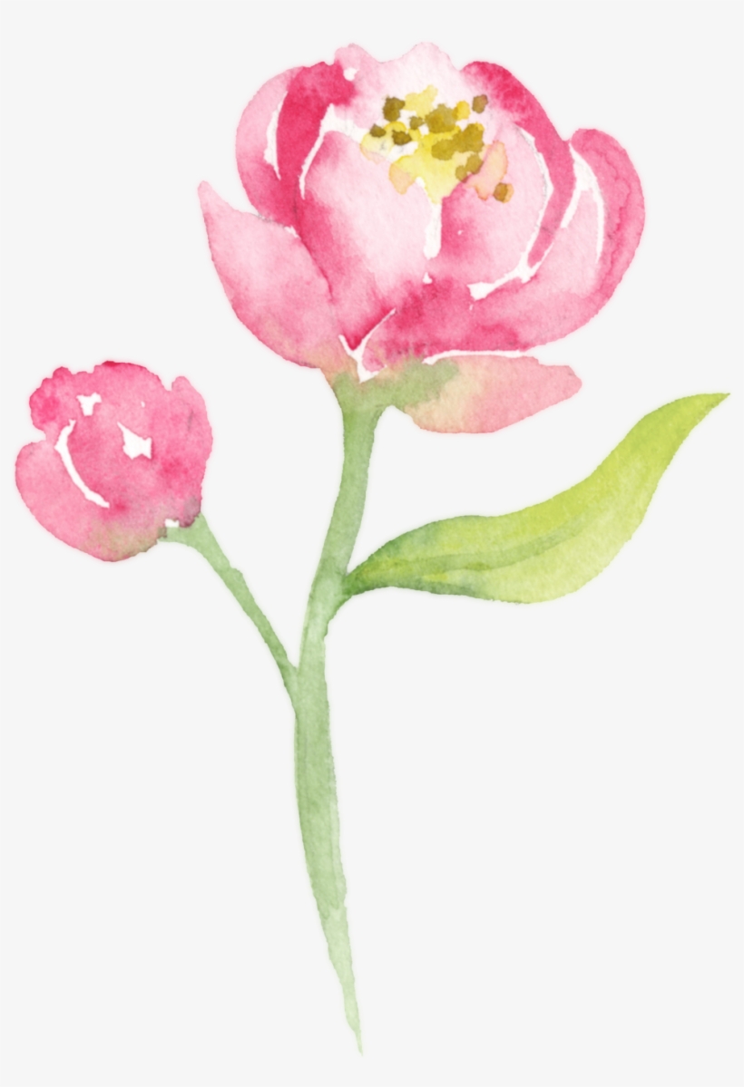 Homepage - Portable Network Graphics, transparent png download