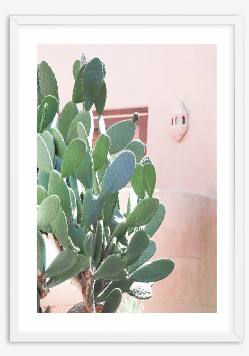 California Cactus No I - Cactus, California, transparent png download