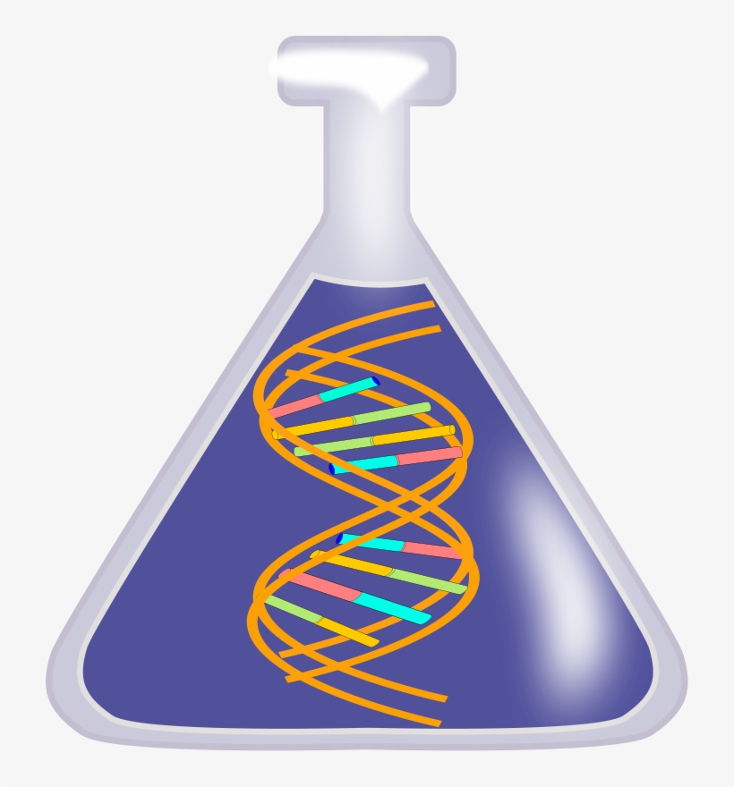 Dna Clip Art Png, transparent png download