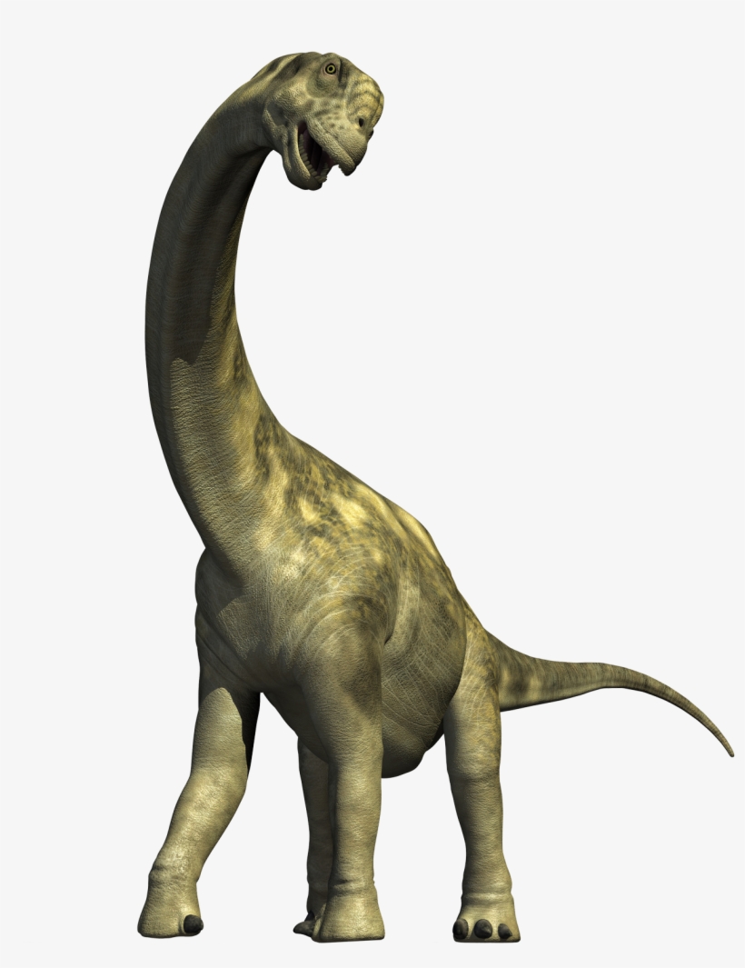 Dinosaur Png, transparent png download