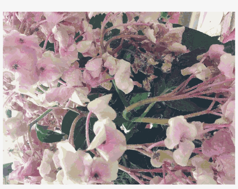 This Free Icons Png Design Of Moms Mother Day Flowers, transparent png download